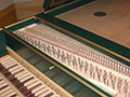 Tskin 1769 4/6