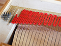 Unfretted Clavichord 3/6