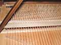 Fortepiano 5 0f 7thumb